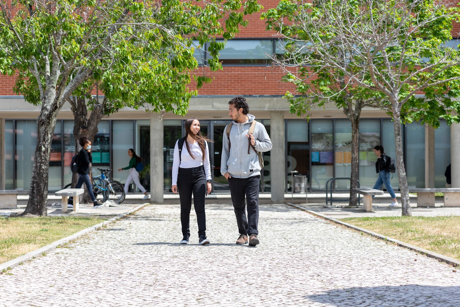 Equilíbrio Emocional: Como gerir as emoções?
